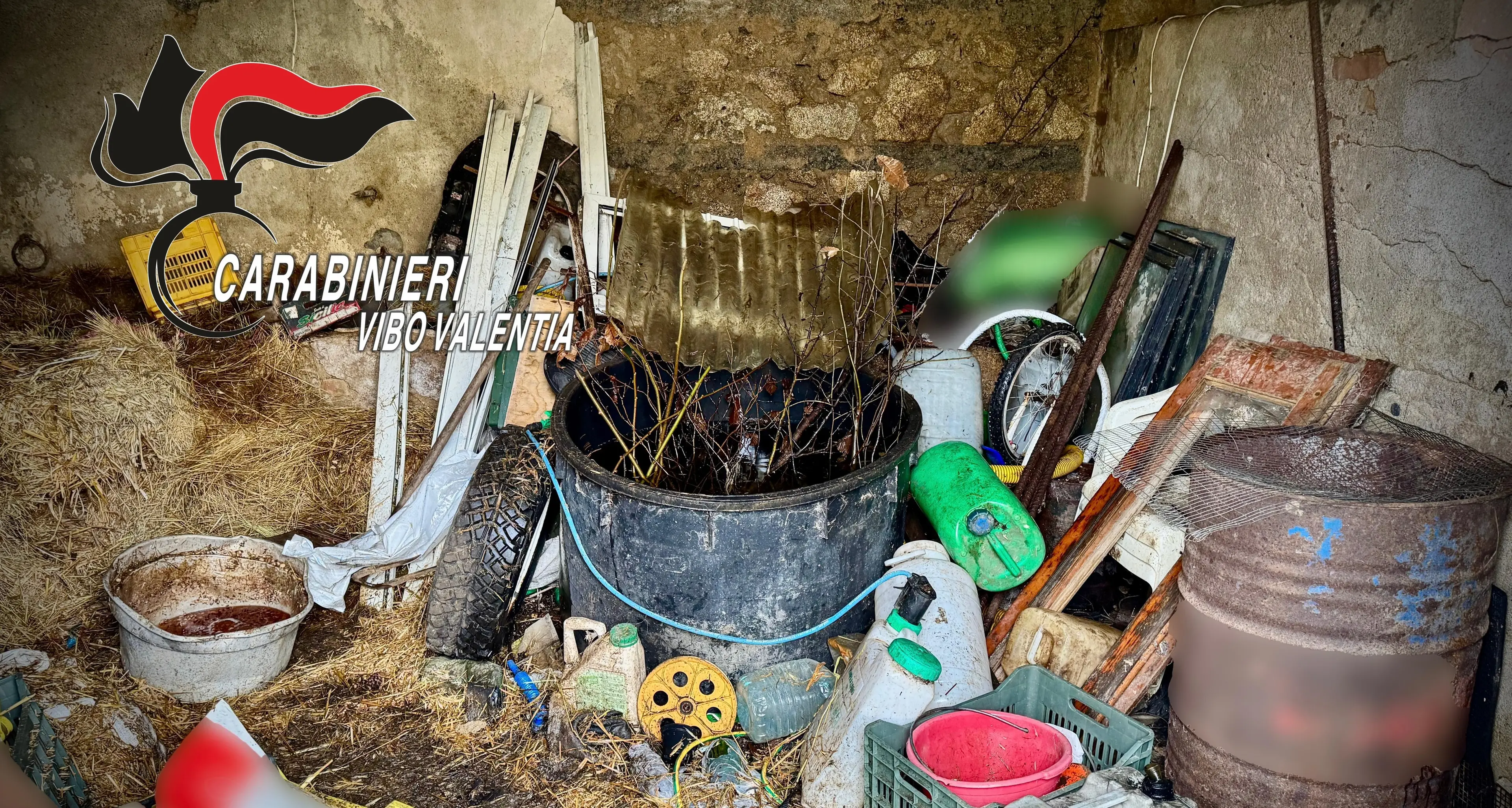 Nardodipace, rifiuti speciali abbandonati su un terreno:\u00A0sequestrata area di 150 metri quadri, denunciato un uomo\n