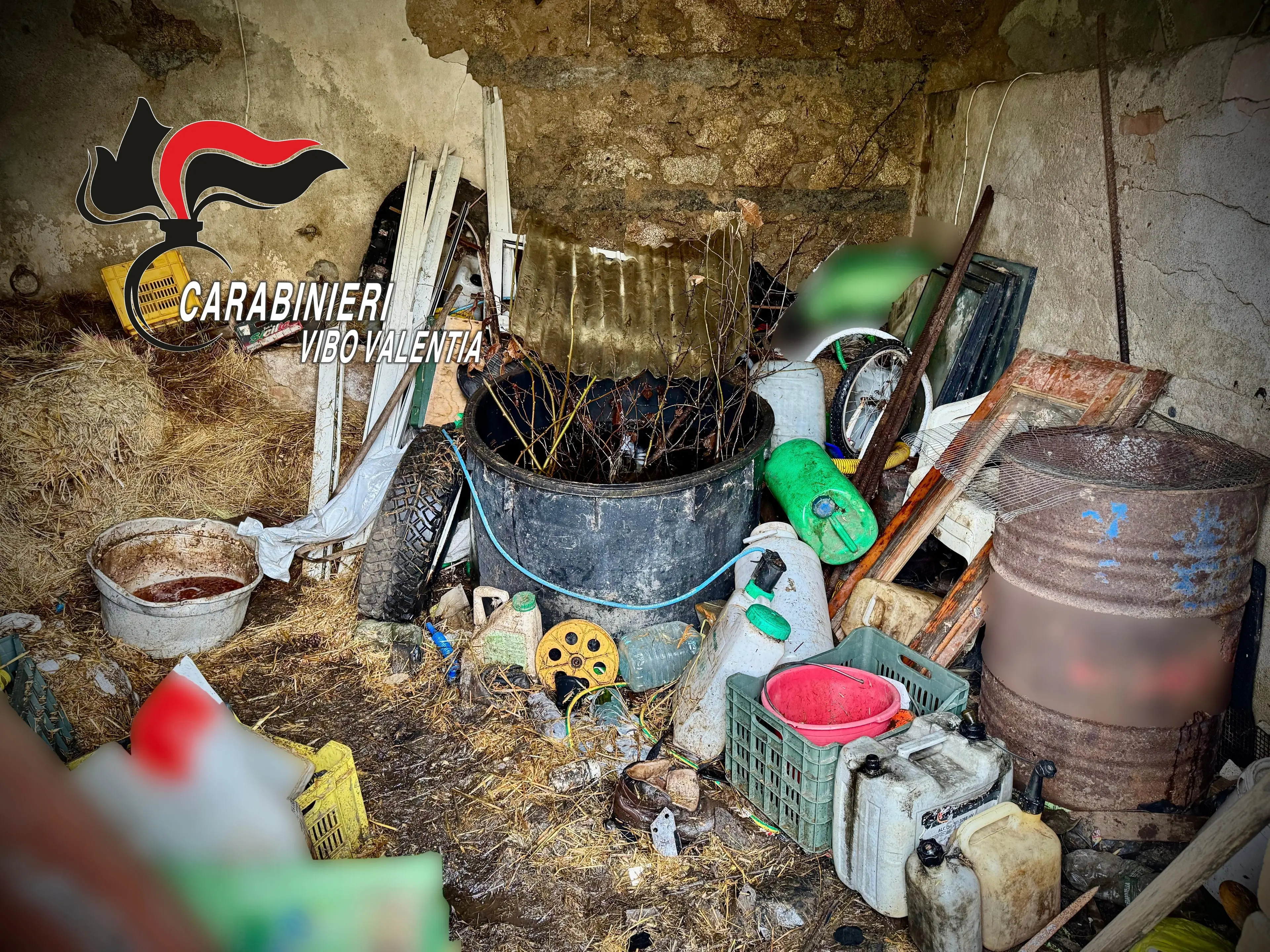 Nardodipace, rifiuti speciali abbandonati su un terreno:\u00A0sequestrata area di 150 metri quadri, denunciato un uomo\n