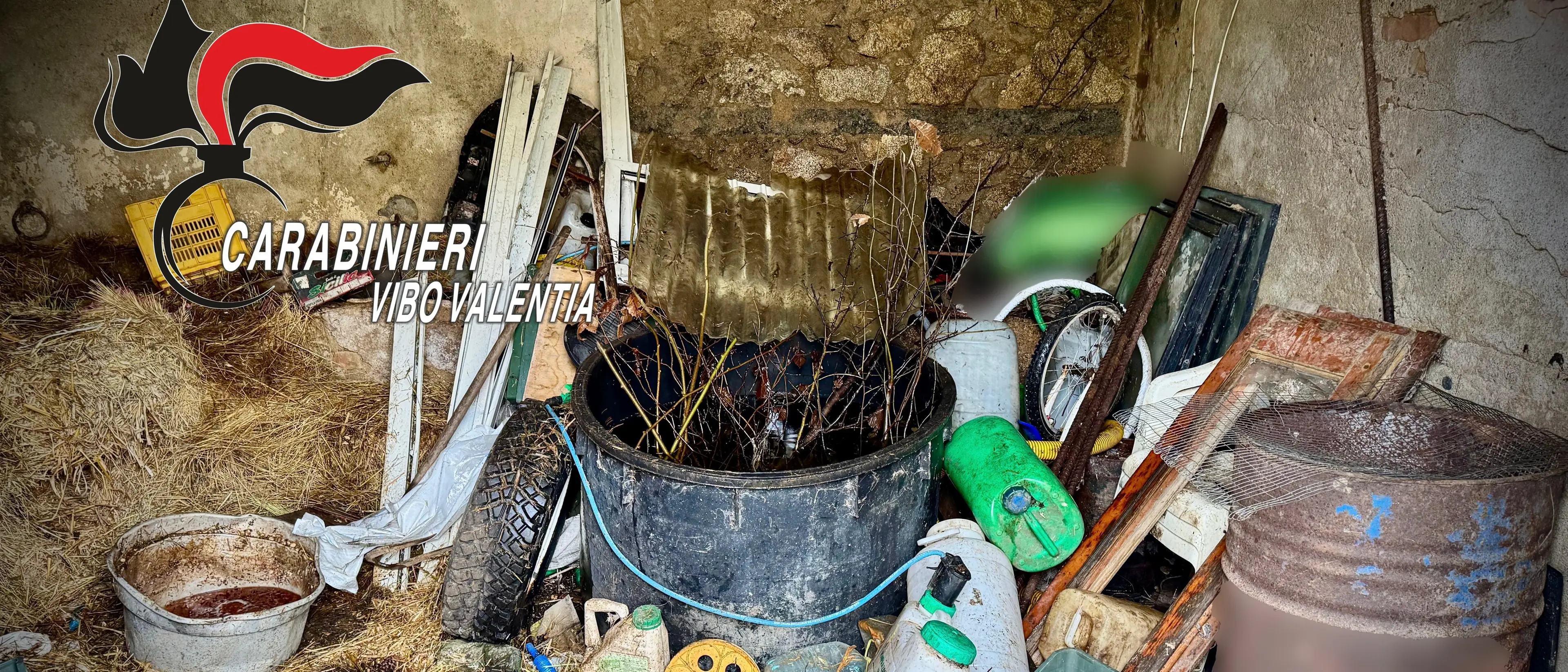 Nardodipace, rifiuti speciali abbandonati su un terreno:\u00A0sequestrata area di 150 metri quadri, denunciato un uomo\n