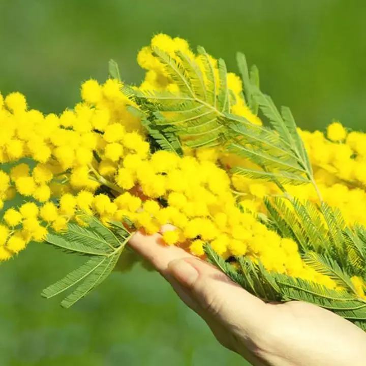 8 Marzo a Cosenza, tour nei musei e nei palazzi: itinerario dedicato all’universo femminile\n