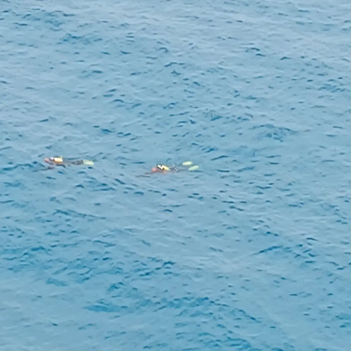 <p>Tropea, ricerche in corso nel punto in cui fu recuperato il corpo del migrante: sul posto i sommozzatori</p>