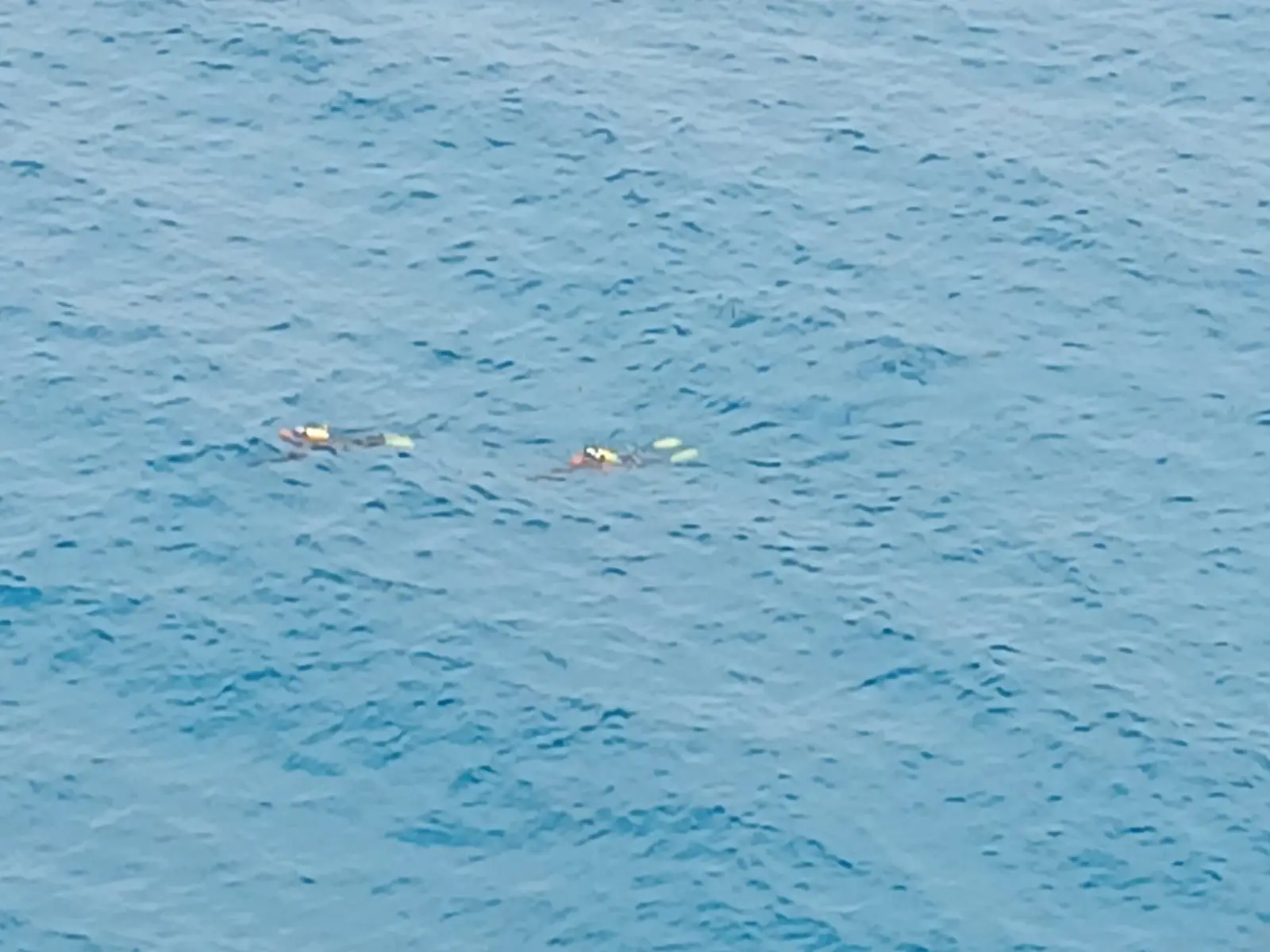 <p>Tropea, ricerche in corso nel punto in cui fu recuperato il corpo del migrante: sul posto i sommozzatori</p>