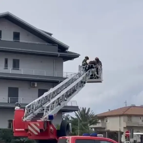 Chiede giustizia minacciando un gesto estremo: scende dalla gru Antonio Cuppari\n