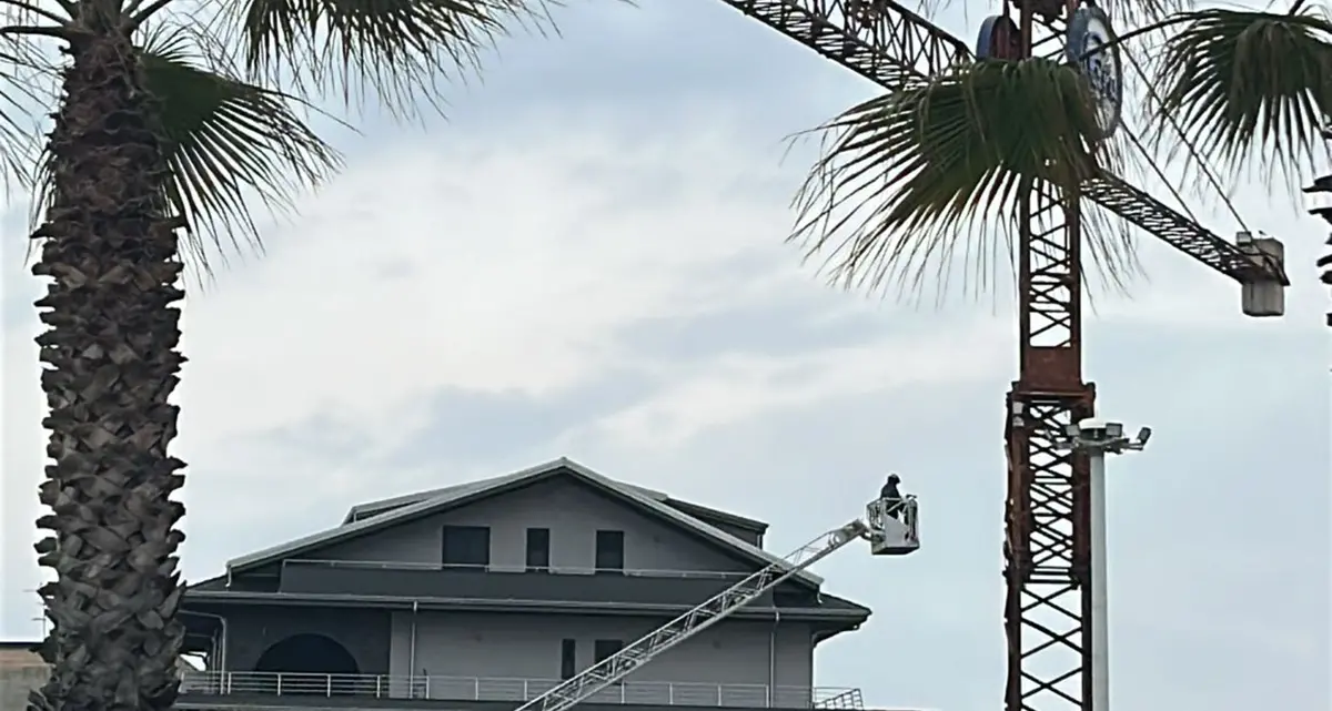 La protesta a lieto fine di Cuppari, condannato a 13 anni ora chiede giustizia\n