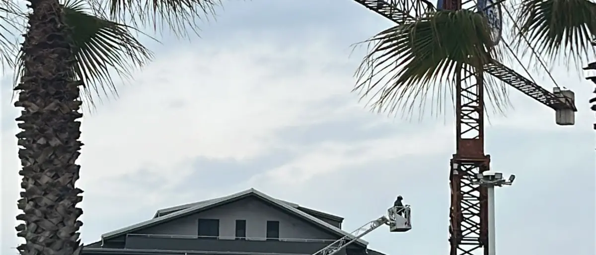 La protesta a lieto fine di Cuppari, condannato a 13 anni ora chiede giustizia\n