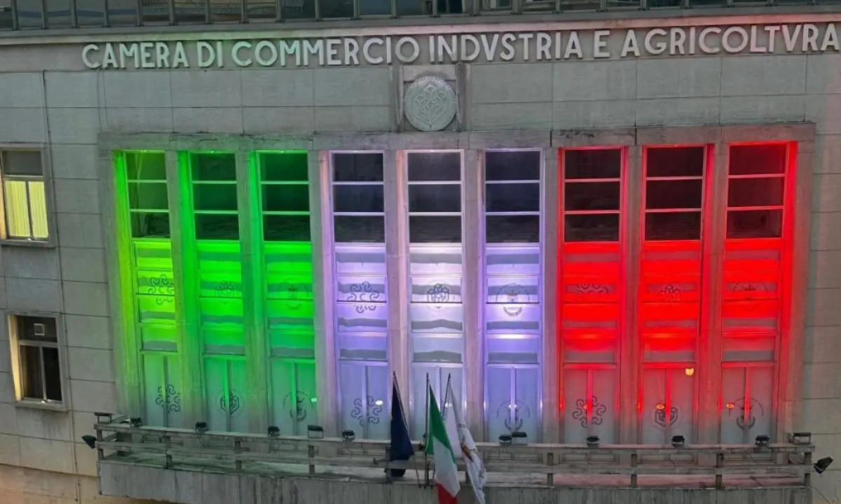 Concorsi e IA nella PA, il 24 marzo confronto in Camera di Commercio a Cosenza\n