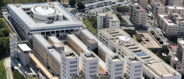 Rapporto di genere, all’università Mediterranea cresce la componente femminile anche nelle aree Stem\n