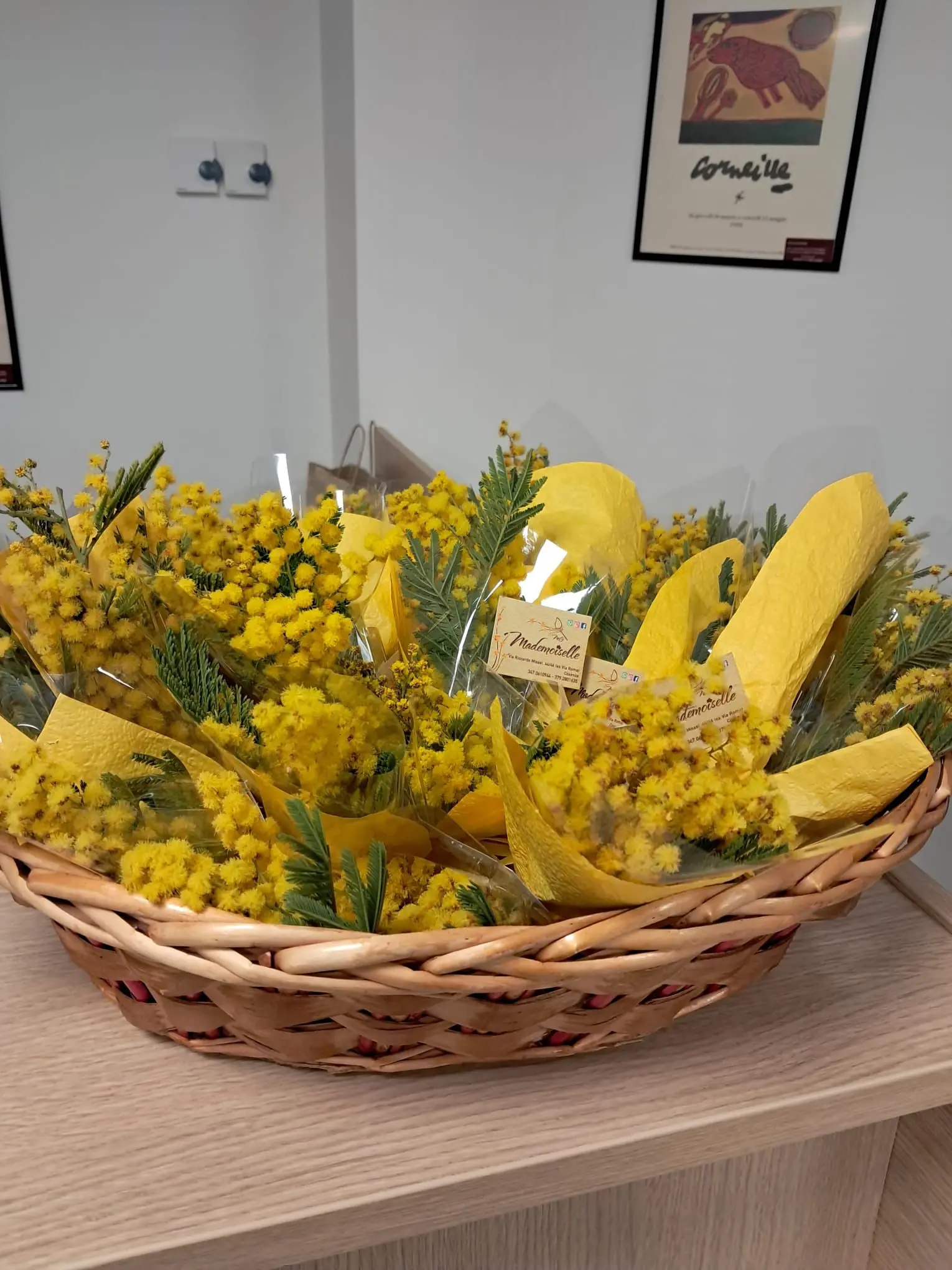 Mimose, trucchi e massaggi: nel reparto di Oncologia a Cosenza l’8 Marzo arriva in anticipo grazie a Onco Med\n