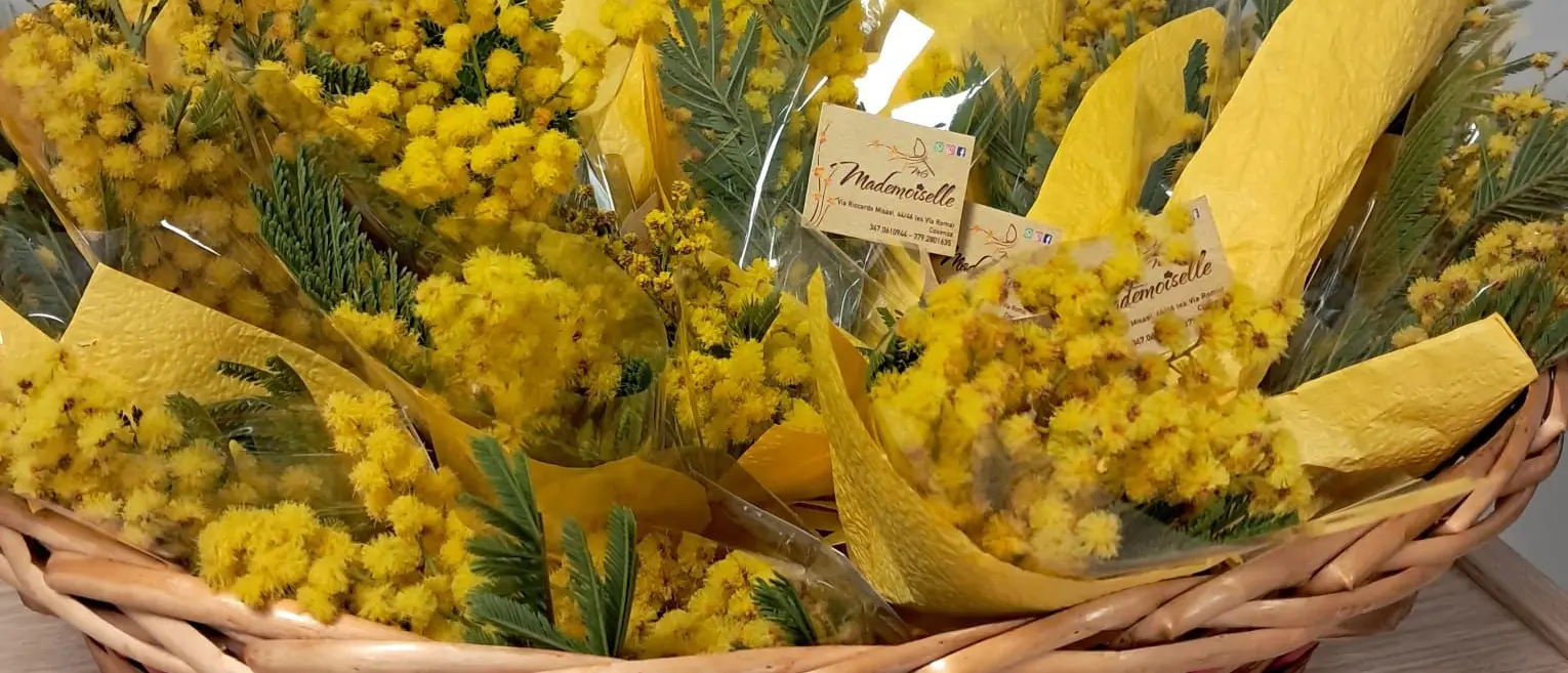 Mimose, trucchi e massaggi: nel reparto di Oncologia a Cosenza l’8 Marzo arriva in anticipo grazie a Onco Med\n