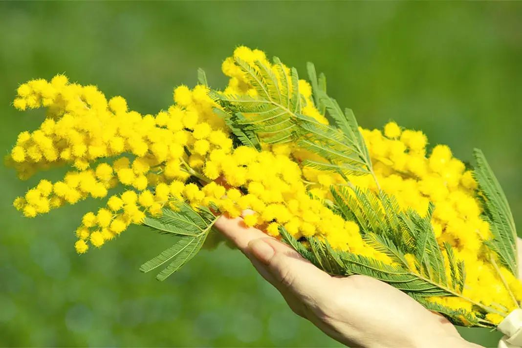 8 Marzo, le donne e il mare: una rotta che continua a crescere\n