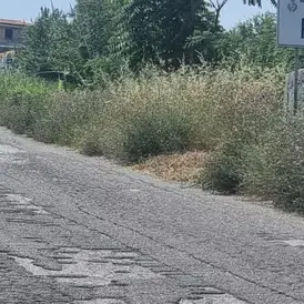 SP 22 tra Spilinga, Ricadi e Tropea: la Provincia di Vibo avvia la gara da oltre 320mila euro per la messa in sicurezza\n