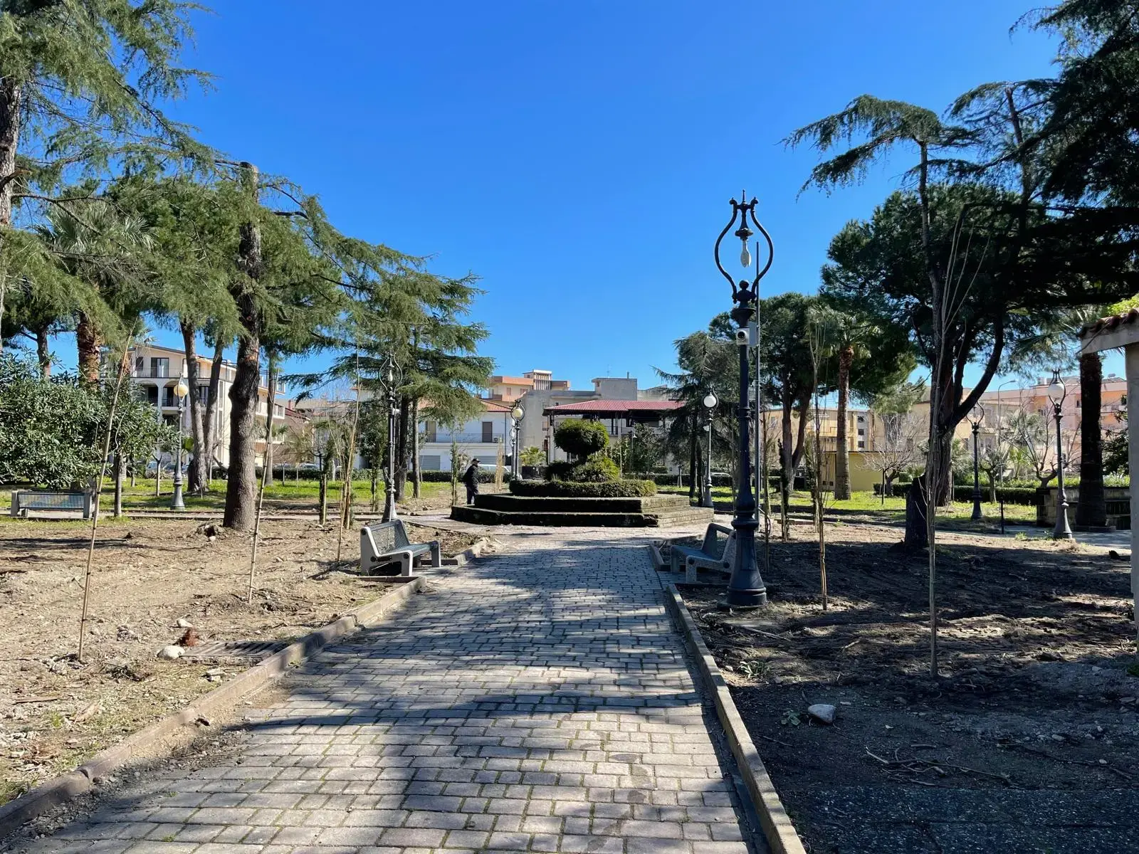 Taglio degli alberi a Caulonia, la minoranza: «Le scuse non cancellano il danno»\n