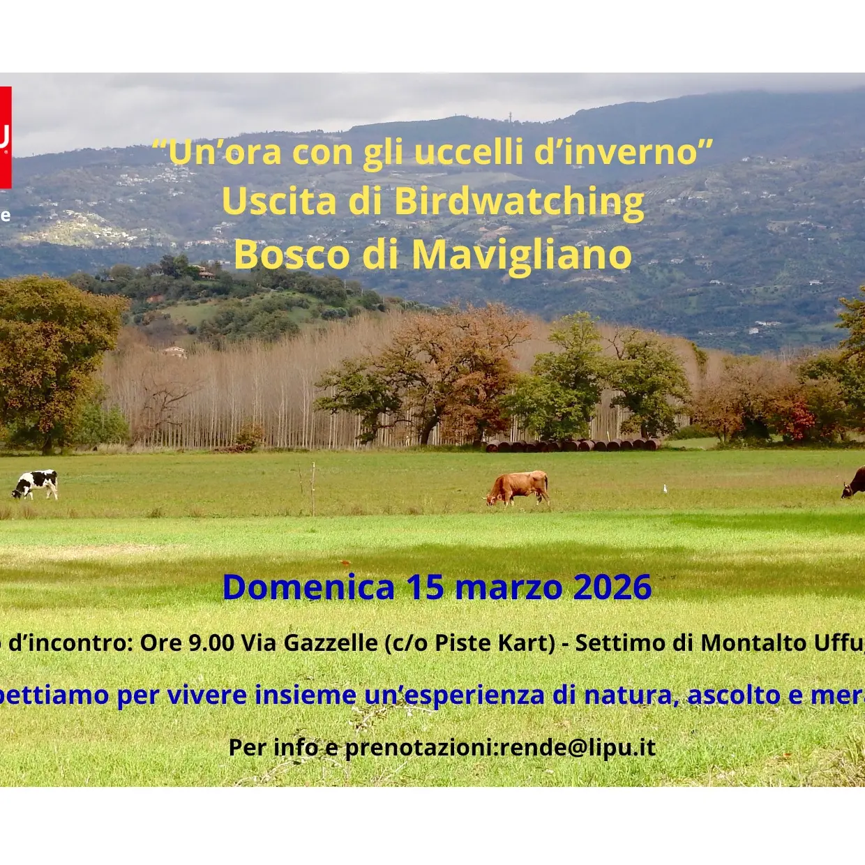 Birdwatching nel Bosco di Mavigliano: il 15 marzo escursione gratuita tra natura e biodiversità\n