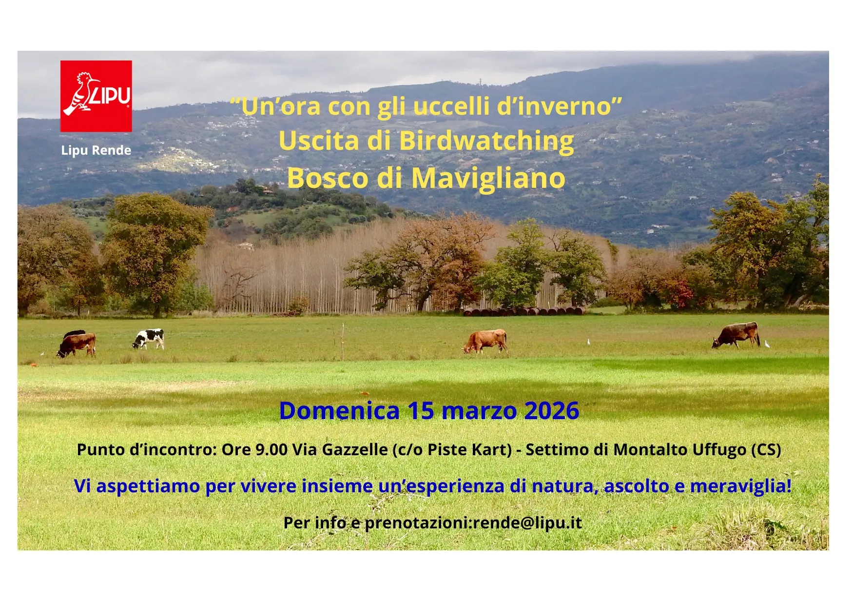 Birdwatching nel Bosco di Mavigliano: il 15 marzo escursione gratuita tra natura e biodiversità\n