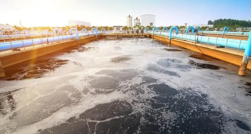 Depurazione nel Vibonese, a Porto Salvo incontro con l’assessore regionale Montuoro\n