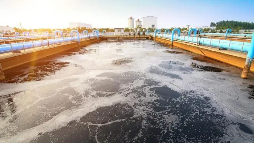 Depurazione nel Vibonese, a Porto Salvo incontro con l’assessore regionale Montuoro\n