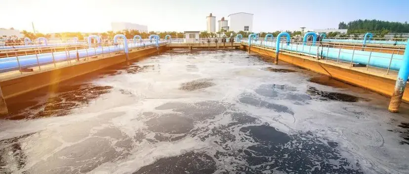 Depurazione nel Vibonese, a Porto Salvo incontro con l’assessore regionale Montuoro\n