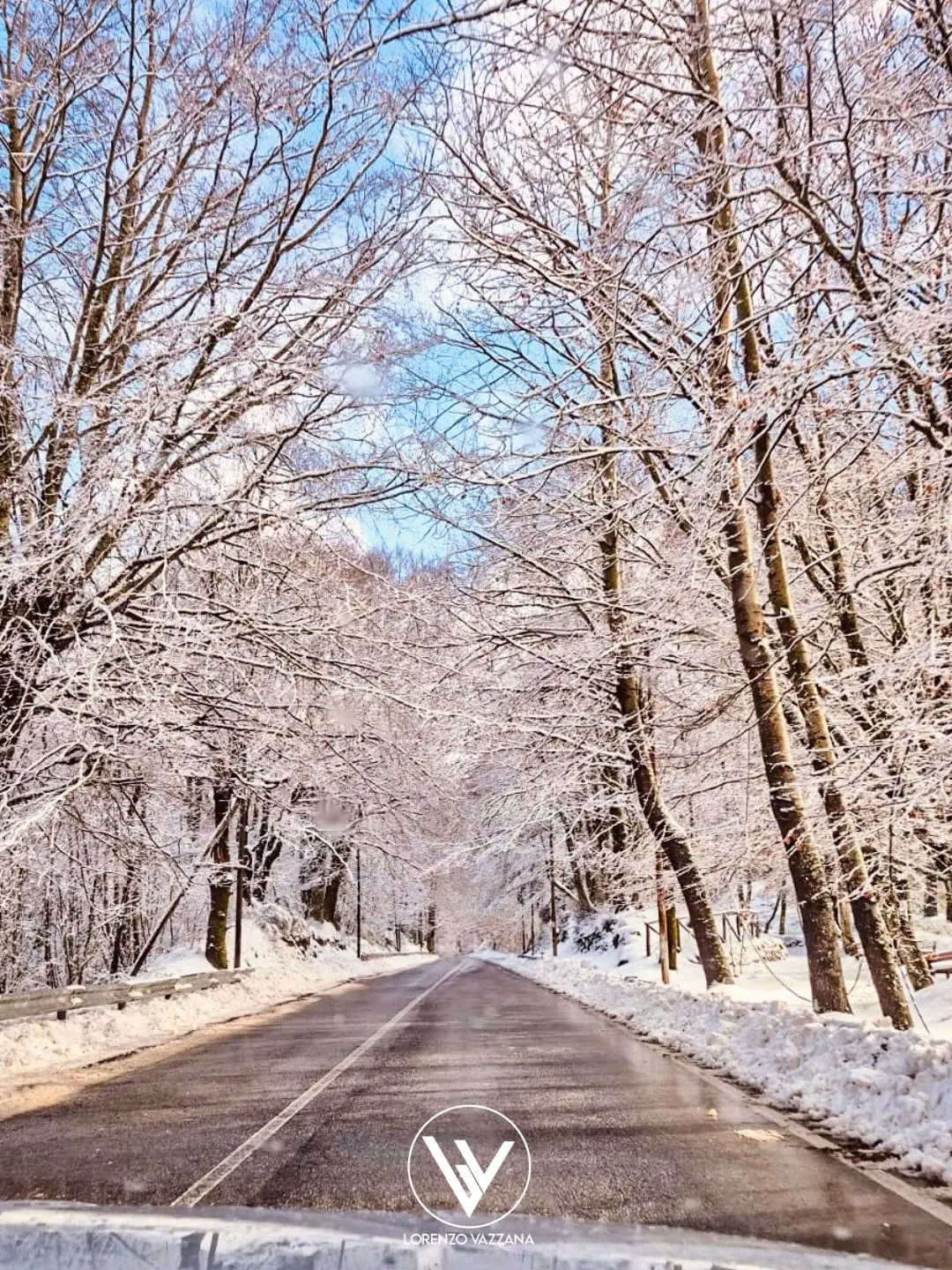 Verso Gambarie, dove la neve racconta silenzi\n