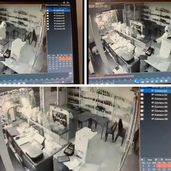 Sfondano la saracinesca di un negozio e prelevano una cassa automatica: furto con spaccata tra Rende e Montalto\n