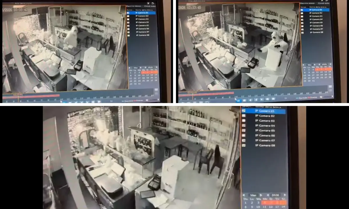 Sfondano la saracinesca di un negozio e prelevano una cassa automatica: furto con spaccata tra Rende e Montalto\n