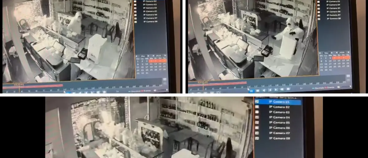 Sfondano la saracinesca di un negozio e prelevano una cassa automatica: furto con spaccata tra Rende e Montalto\n