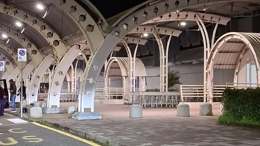 Calabria, nasce il coordinamento di Sistema Trasporti: Ncc e bus turistici uniti sui problemi dell’aeroporto di Lamezia\n