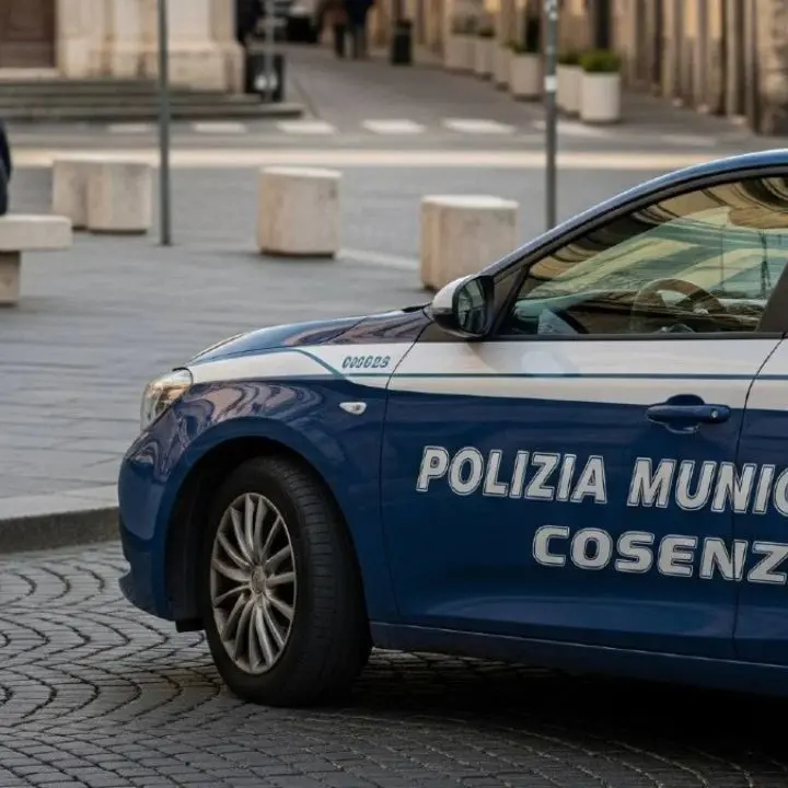 Cosenza, controlli straordinari della Polizia municipale nei locali della movida\n