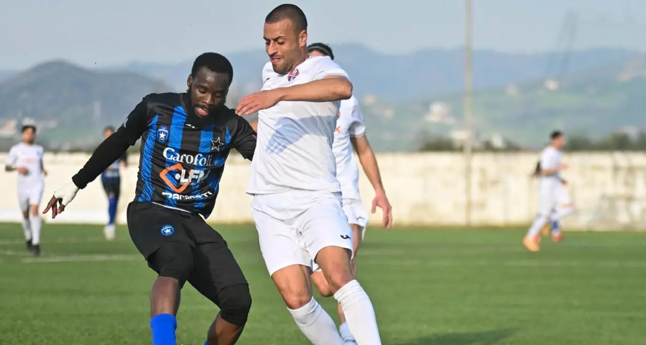 Coppa Italia Dilettanti: il sogno della DB Rossoblù\u00A0Luzzi si ferma ai quarti, passa il Bisceglie (5-0)\n