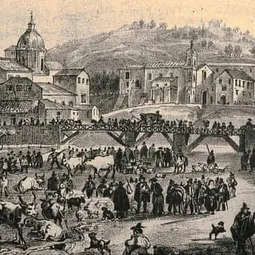 C’era una volta la Fiera di San Giuseppe: muli, urlatori e zeppole nella Cosenza in bianco e nero\n