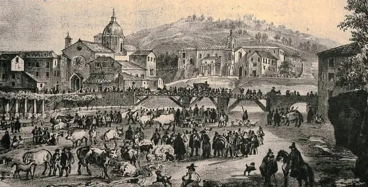 C’era una volta la Fiera di San Giuseppe: muli, urlatori e zeppole nella Cosenza in bianco e nero\n