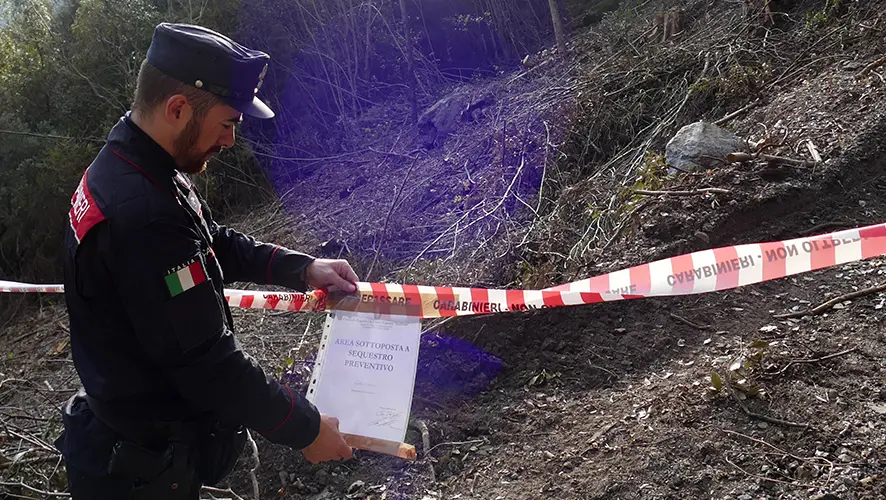 Taglio abusivo nel Parco del Pollino, tre persone denunciate dai Carabinieri\n