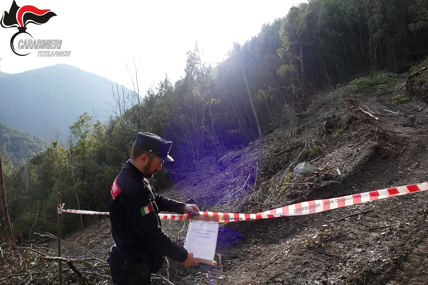 Taglio abusivo nel Parco del Pollino, tre persone denunciate dai Carabinieri\n