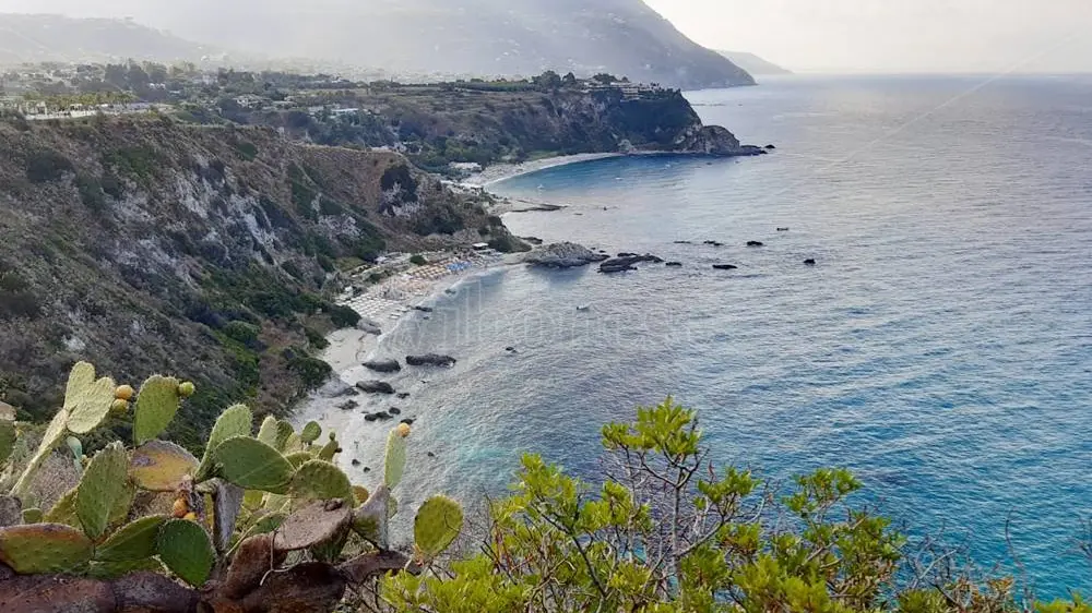 <p>La costa&nbsp;vista dal belvedere di Capo Vaticano</p>\\n