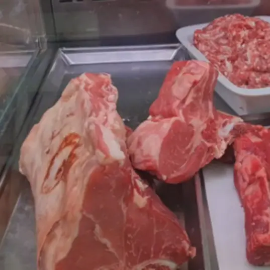 Macelleria abusiva scoperta dalla Guardia di Finanza a Vibo, sequestrati quasi 60 chili di carne\n