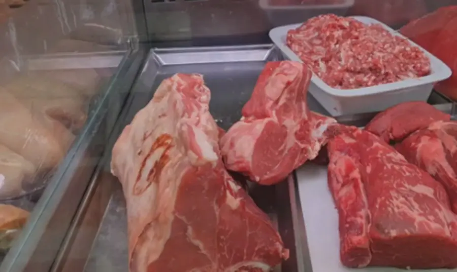 Macelleria abusiva scoperta dalla Guardia di Finanza a Vibo, sequestrati quasi 60 chili di carne\n