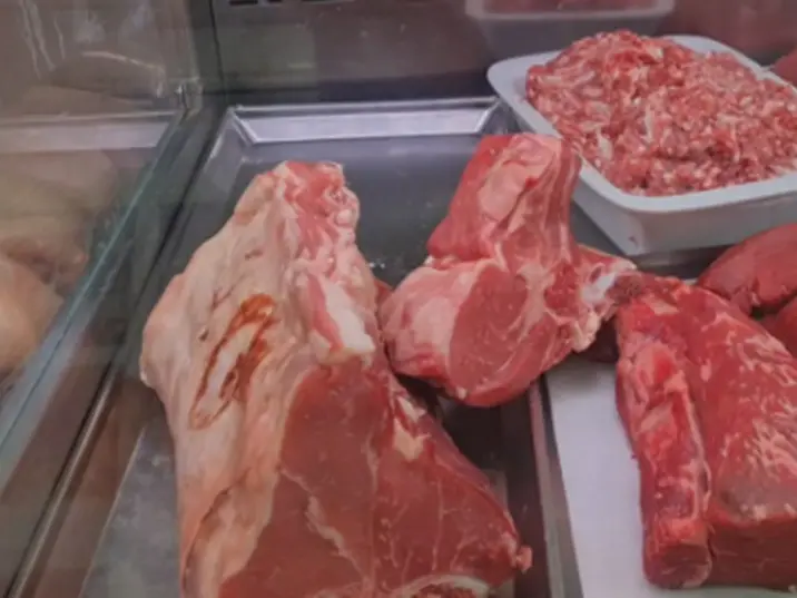 Macelleria abusiva scoperta dalla Guardia di finanza a Vibo, sequestrati quasi 60 chili di carne