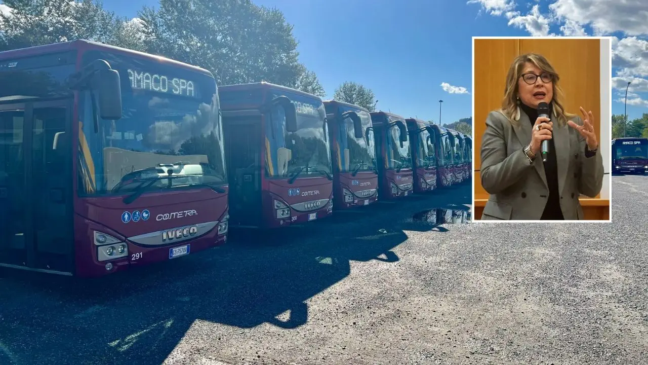 Bando di vendita Amaco, Rende: «La Regione non può voltarsi dall’altra parte»\n