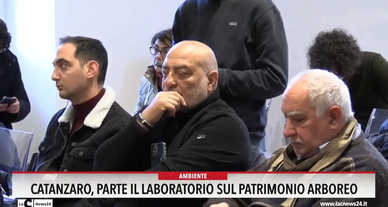 Catanzaro, parte il laboratorio sul patrimonio arboreo