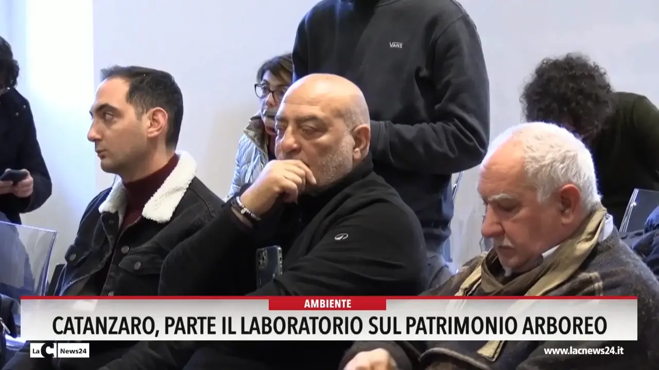 Catanzaro, parte il laboratorio sul patrimonio arboreo