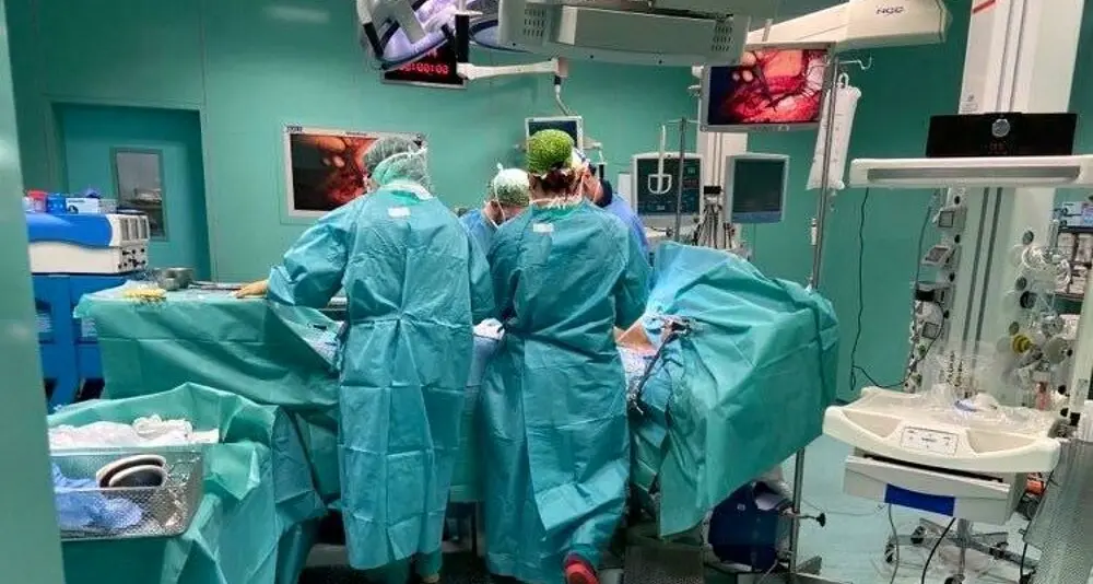 Aumentano le donazioni di organi dopo la tragedia del piccolo Domenico, sono 340 in due mesi\n