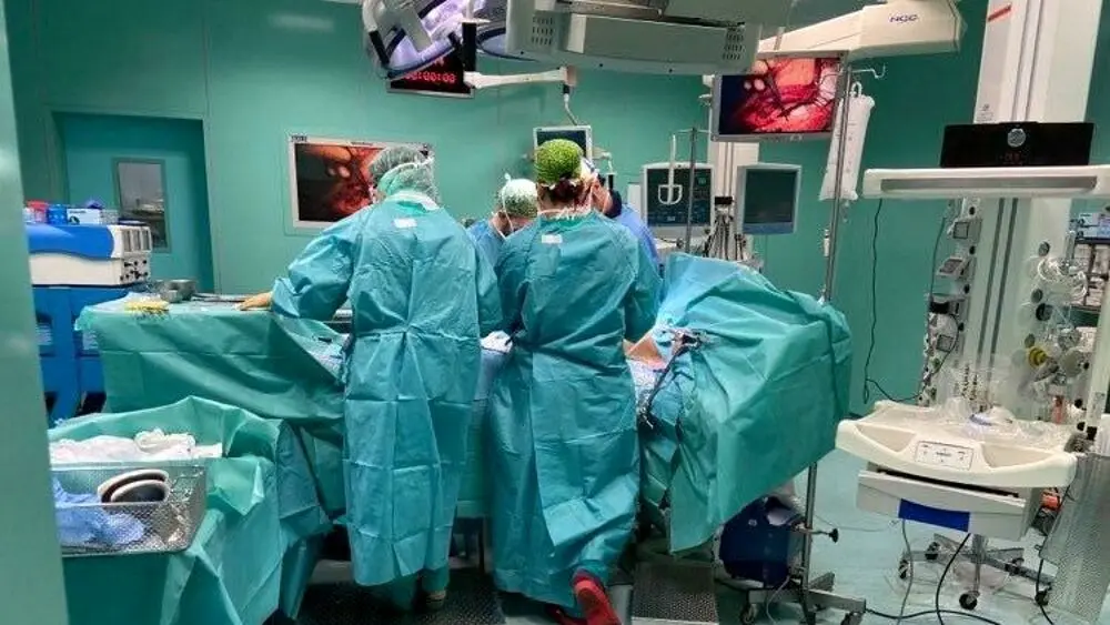 Aumentano le donazioni di organi dopo la tragedia del piccolo Domenico, sono 340 in due mesi\n