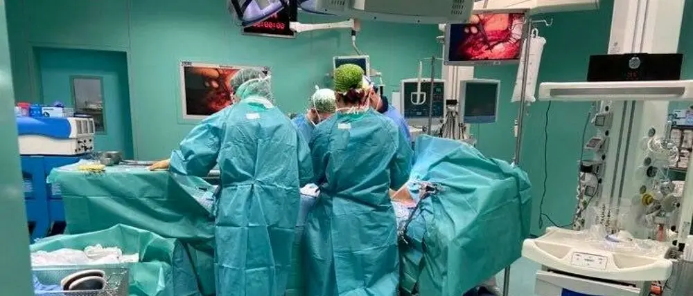 Aumentano le donazioni di organi dopo la tragedia del piccolo Domenico, sono 340 in due mesi\n