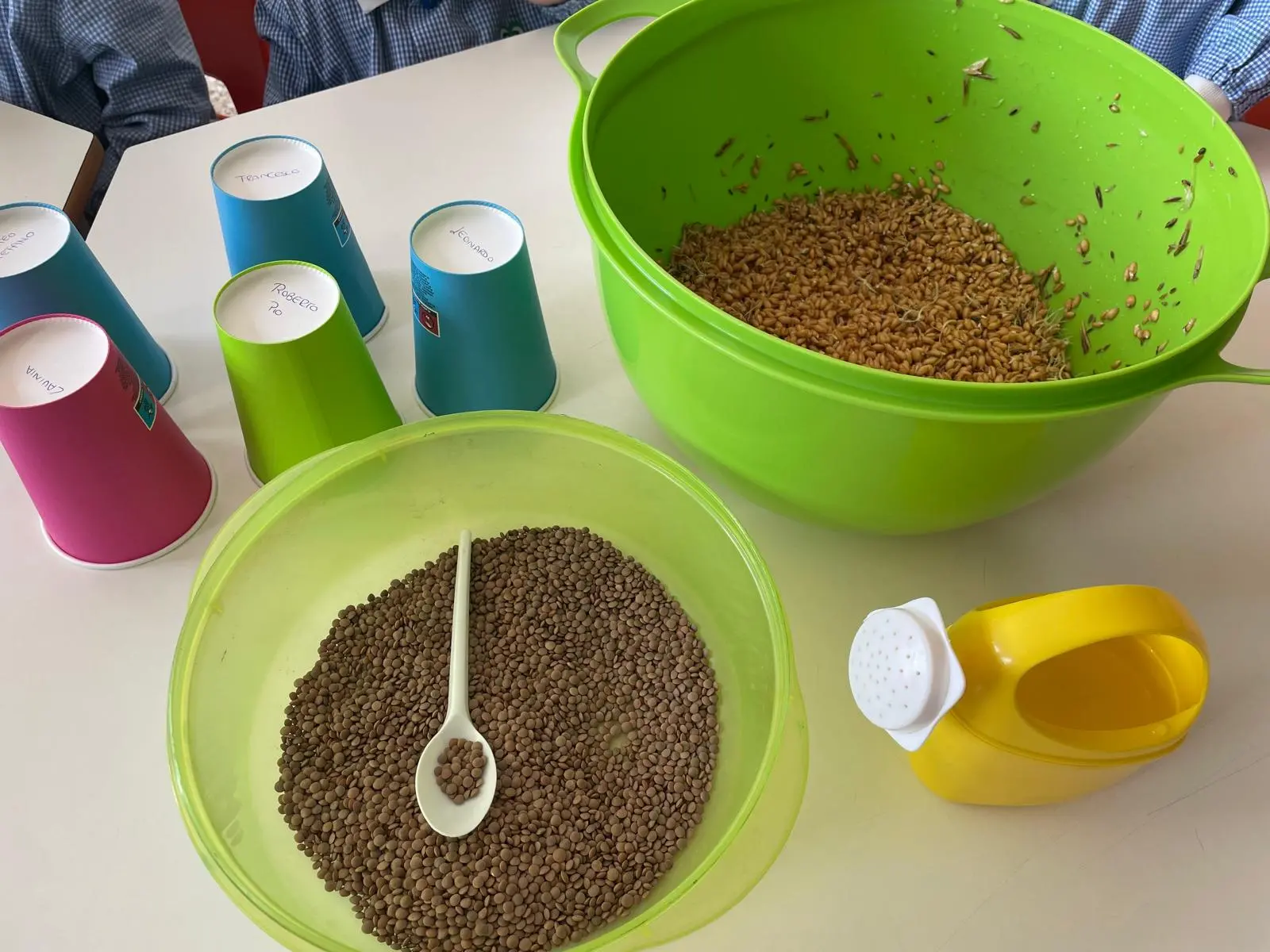 Bisignano, alla Sezione Primavera il sepolcro pasquale diventa laboratorio educativo\n