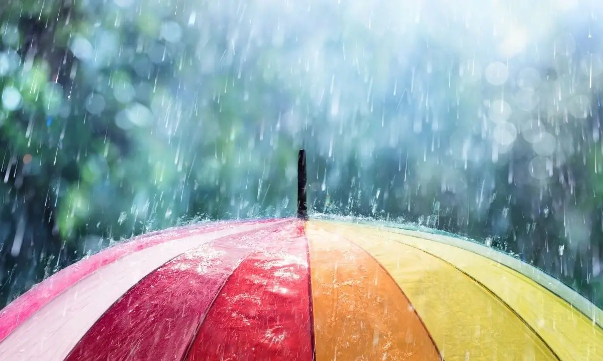 Nuovo ciclone in arrivo sulla Calabria, piogge intense e vento forte\n