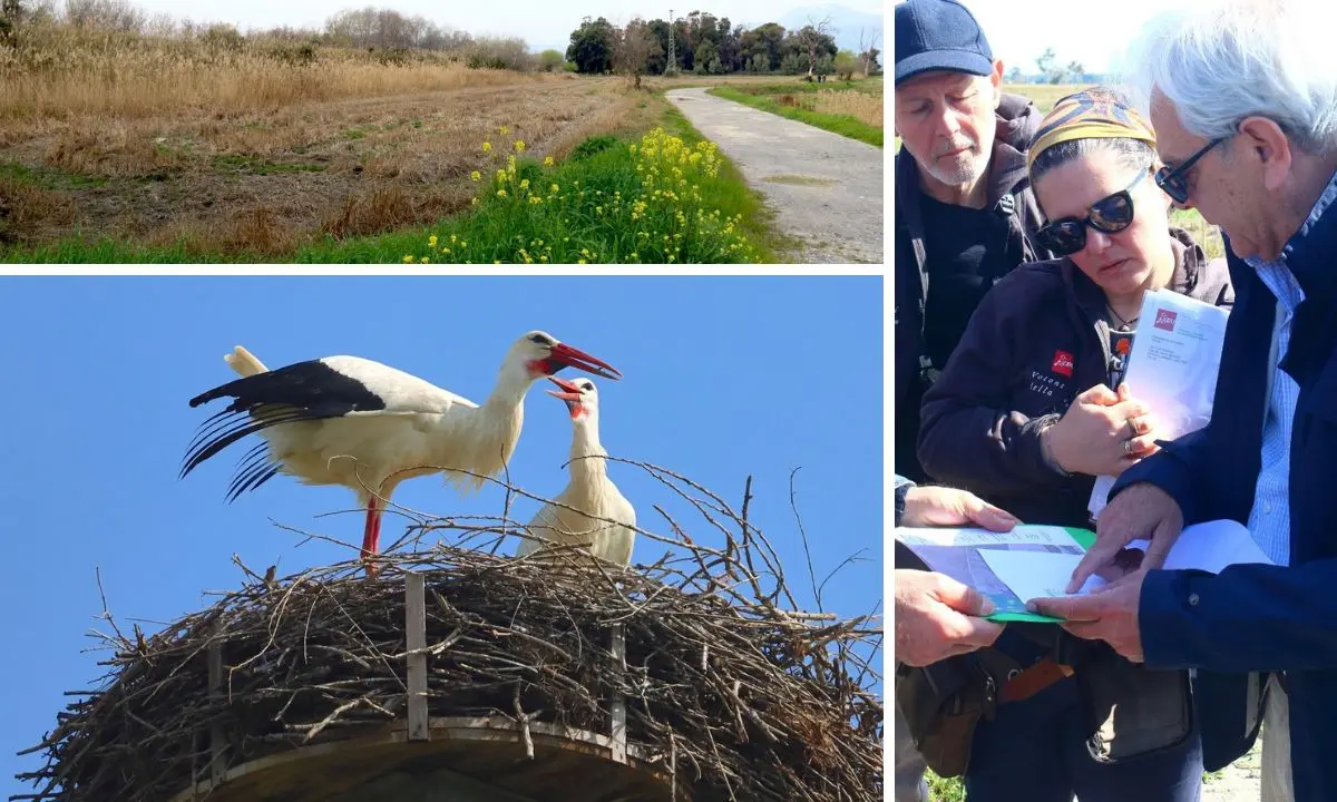 Piana di Sibari, nasce una nuova area umida: al via il ripristino ambientale nell’Azienda Terzeria\n