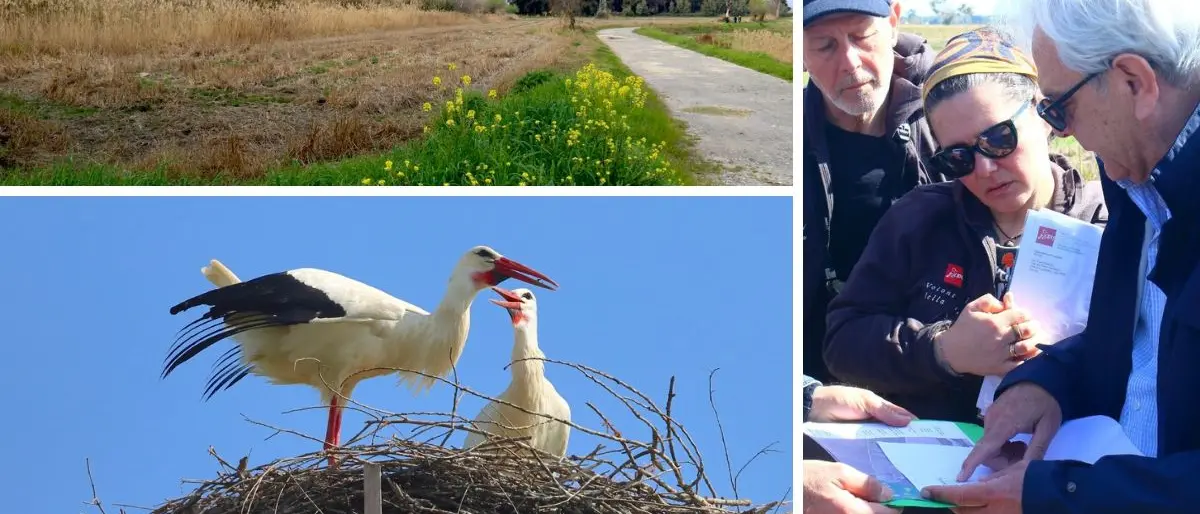 Piana di Sibari, nasce una nuova area umida: al via il ripristino ambientale nell’Azienda Terzeria\n