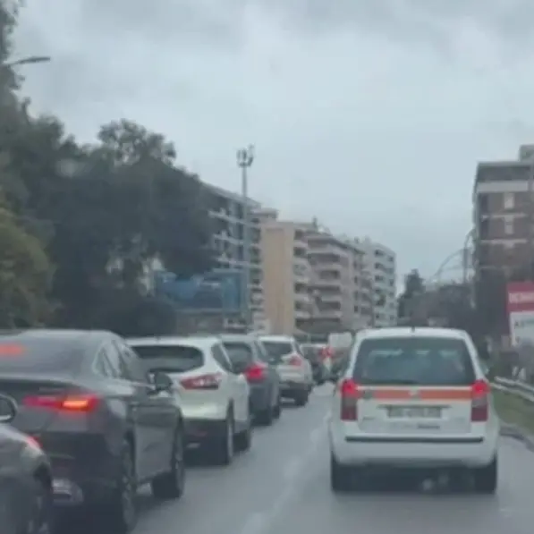 Viabilità a Roges, scatta la raccolta firme: «Disagi dopo i nuovi sensi di marcia e lo spartitraffico»\n