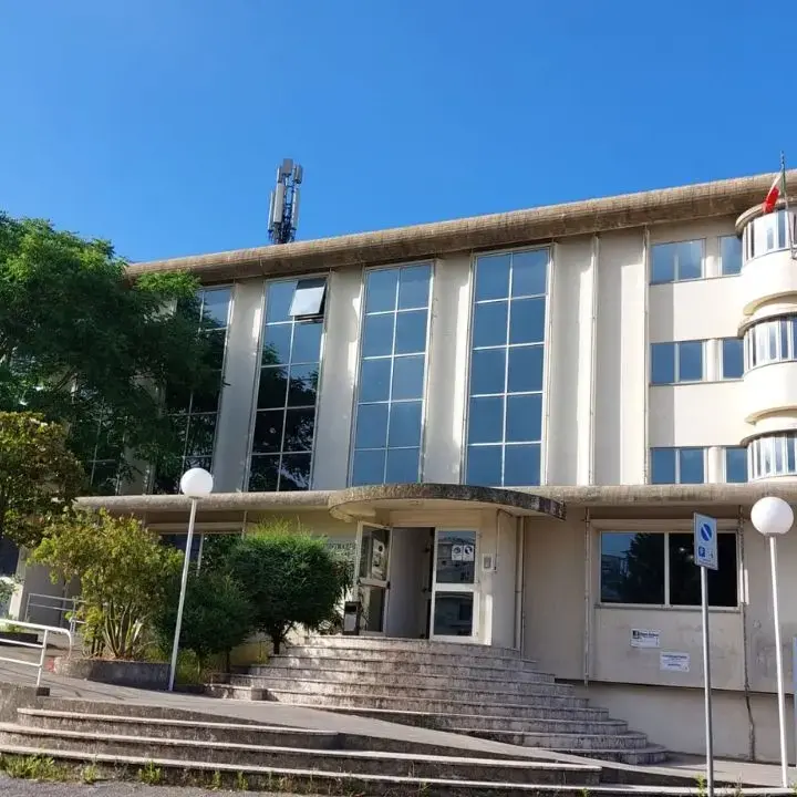 Provincia di Vibo, sfiduciato il presidente della Commissione Lavori pubblici Vincenzo La Caria\n