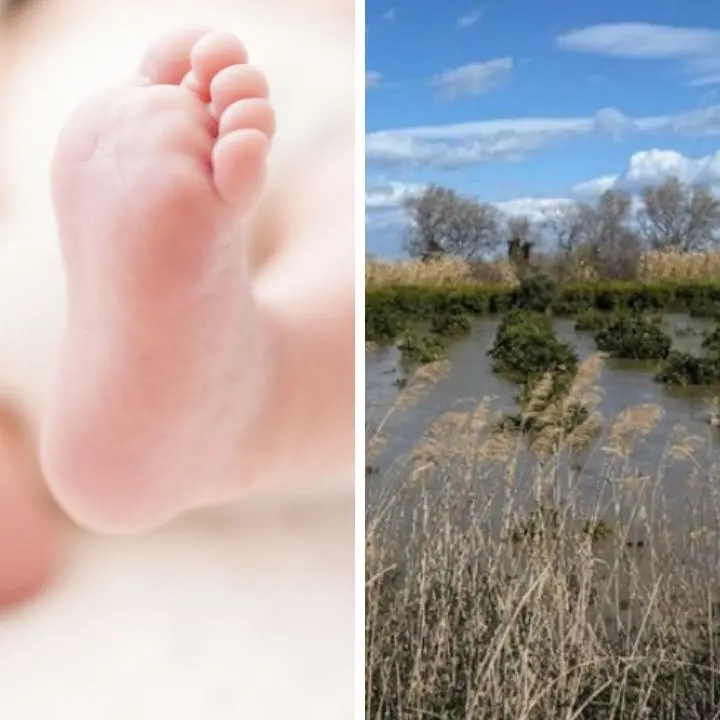 Una nuova vita che profuma di rinascita: a un mese esatto dall’alluvione di Sibari nasce\u00A0Rebecca\n