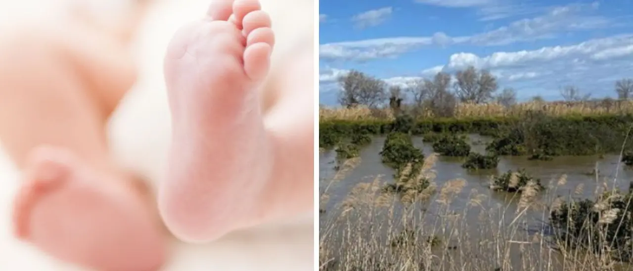 Una nuova vita che profuma di rinascita: a un mese esatto dall’alluvione di Sibari nasce\u00A0Rebecca\n